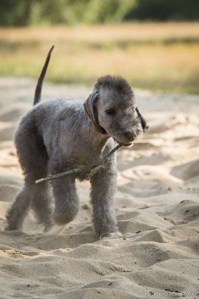 2014-07-17 Cherry & Friends-8183.jpg